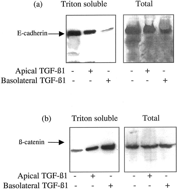 Figure 10.