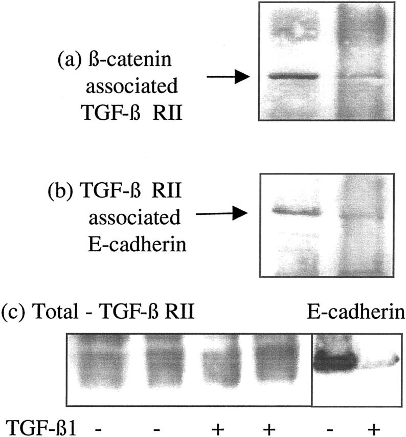 Figure 12.