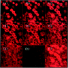 Figure 11.