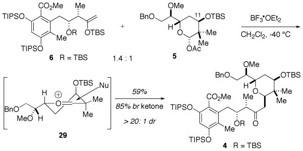 Scheme 5