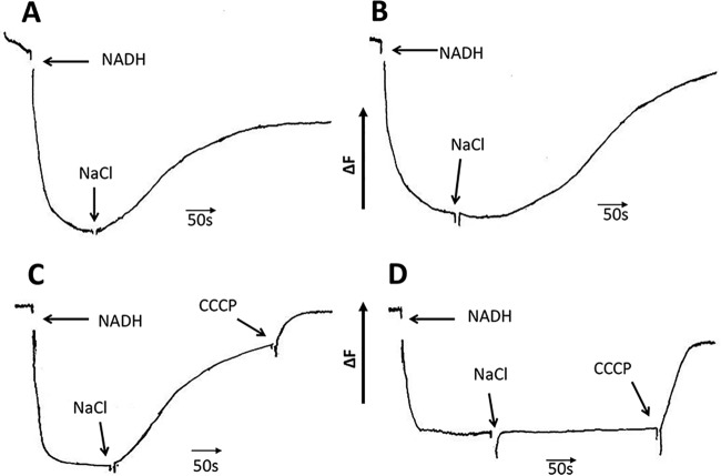 FIG 2