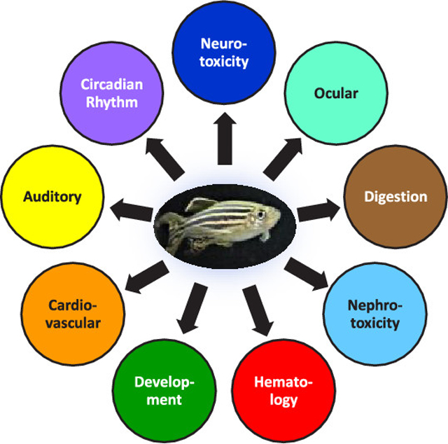 graphic file with name nihms-1579617-f0001.jpg