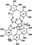 graphic file with name molecules-25-02590-i004.jpg