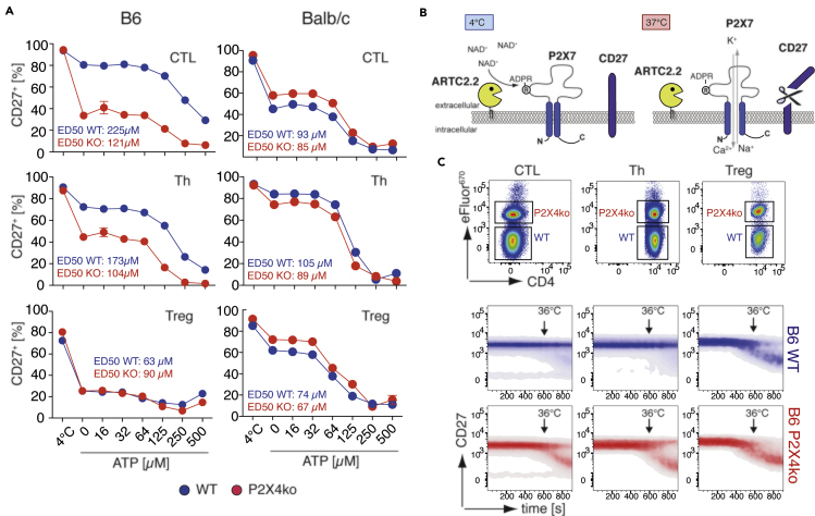 Figure 3