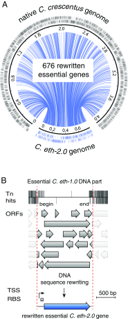 Fig. 1.