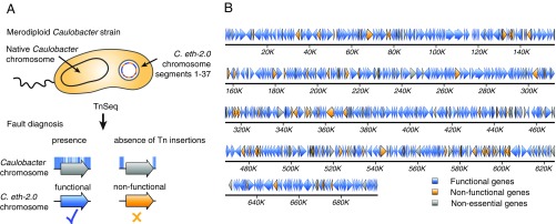 Fig. 3.