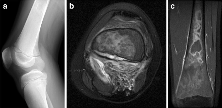 Fig. 10