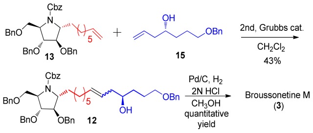 Scheme 4