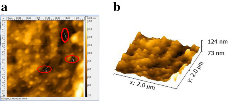 Figure 7