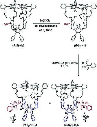 Scheme 1