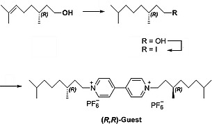 Scheme 4