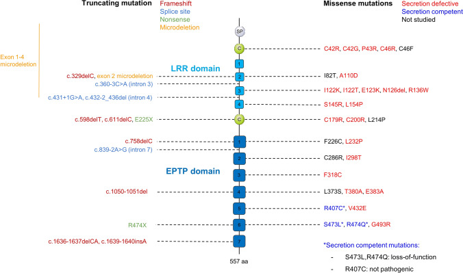 The LGI1 protein: molecular structure, physiological functions and ...