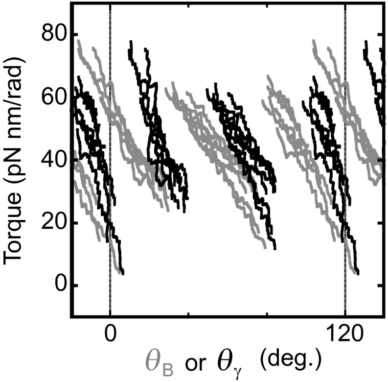 Fig. S8.