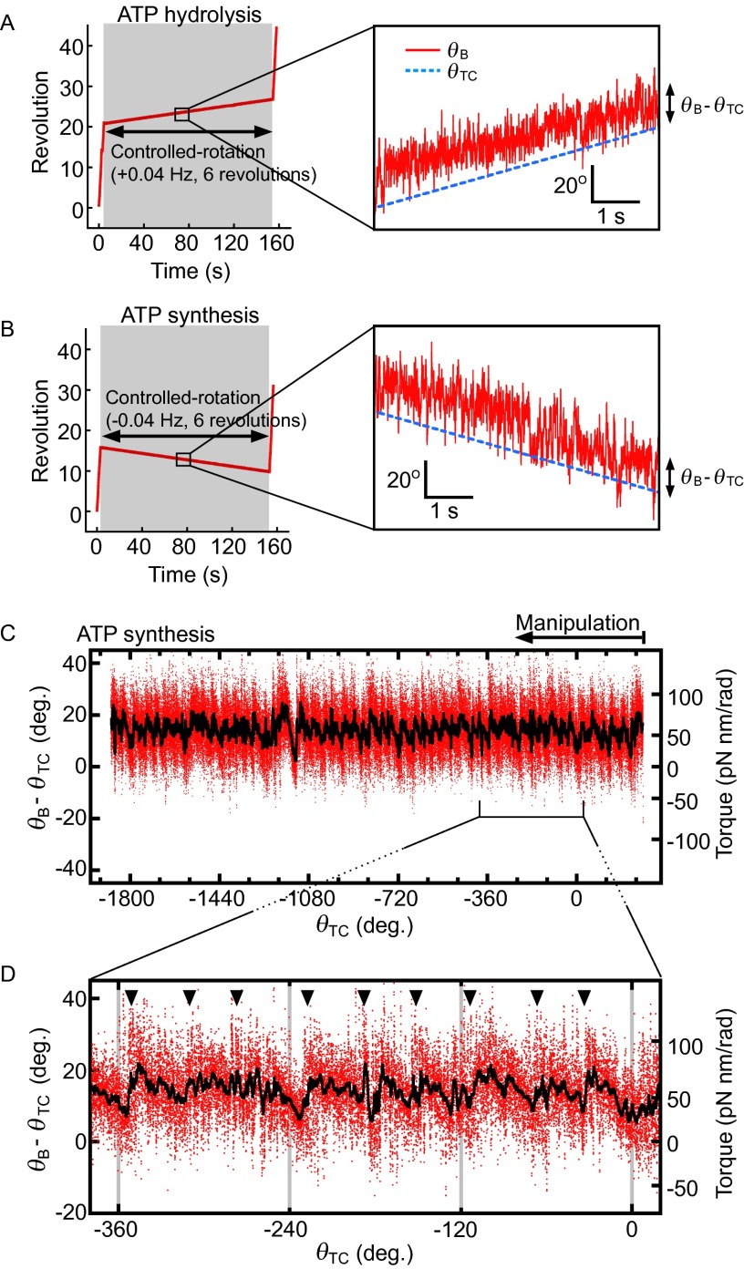 Fig. S1.