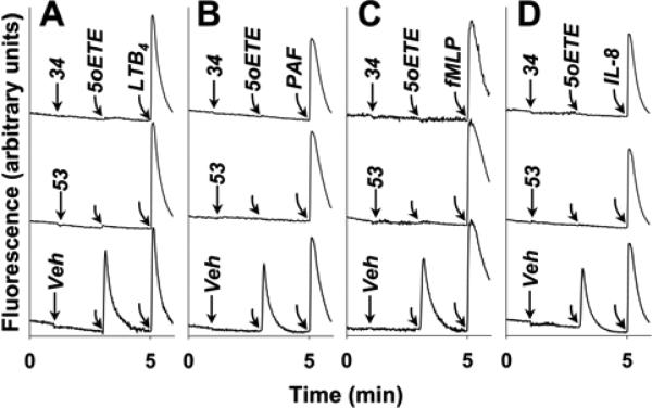 Figure. 7