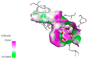 graphic file with name biomedicines-11-02372-i053.jpg
