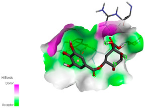 graphic file with name biomedicines-11-02372-i040.jpg