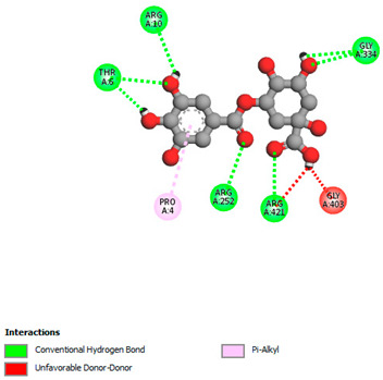 graphic file with name biomedicines-11-02372-i019.jpg
