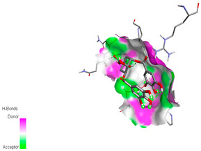 graphic file with name biomedicines-11-02372-i047.jpg