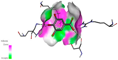 graphic file with name biomedicines-11-02372-i031.jpg