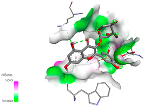 graphic file with name biomedicines-11-02372-i014.jpg