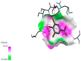 graphic file with name biomedicines-11-02372-i032.jpg