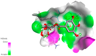 graphic file with name biomedicines-11-02372-i024.jpg