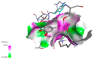 graphic file with name biomedicines-11-02372-i021.jpg