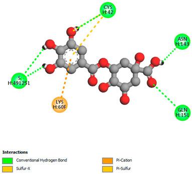 graphic file with name biomedicines-11-02372-i034.jpg