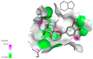 graphic file with name biomedicines-11-02372-i022.jpg