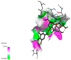 graphic file with name biomedicines-11-02372-i056.jpg