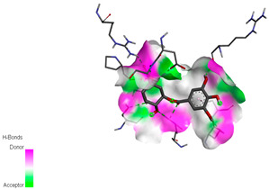 graphic file with name biomedicines-11-02372-i039.jpg