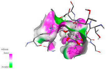 graphic file with name biomedicines-11-02372-i037.jpg