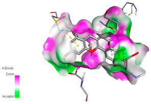 graphic file with name biomedicines-11-02372-i013.jpg