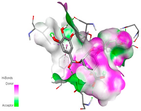 graphic file with name biomedicines-11-02372-i045.jpg