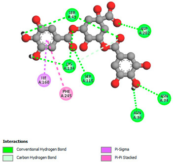 graphic file with name biomedicines-11-02372-i041.jpg