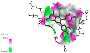 graphic file with name biomedicines-11-02372-i015.jpg