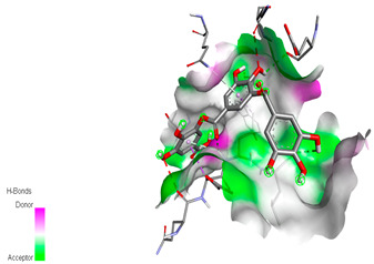 graphic file with name biomedicines-11-02372-i006.jpg