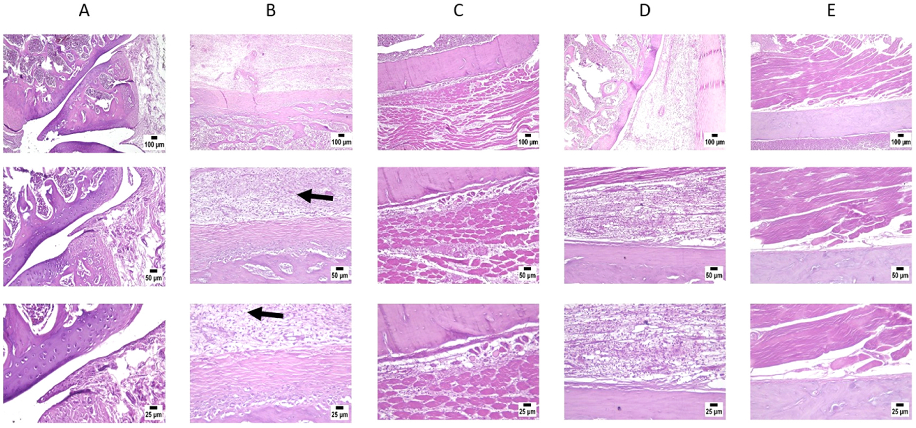 Fig. 10.