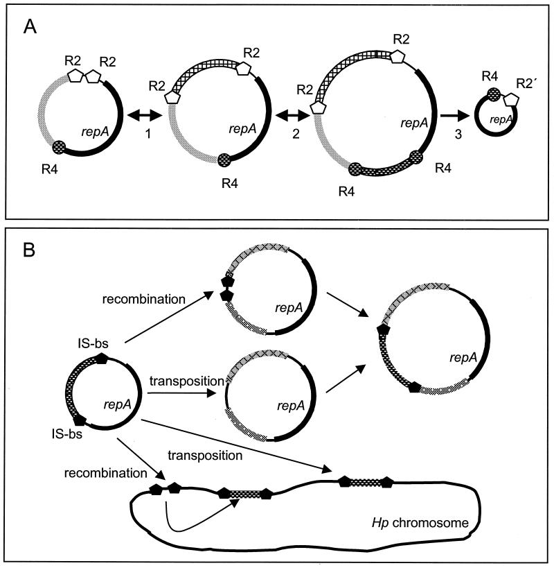 FIG. 8.