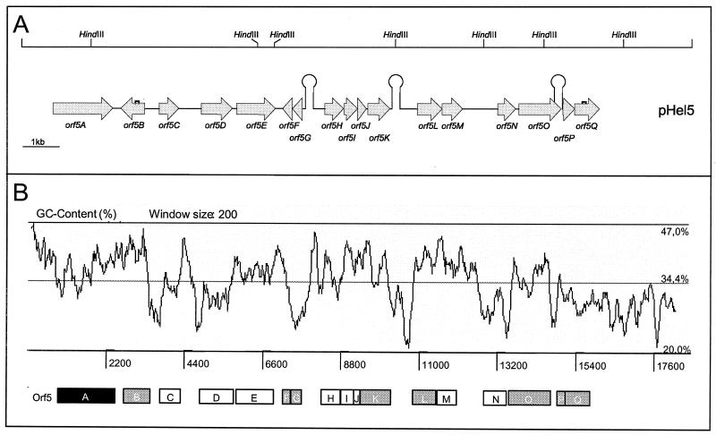 FIG. 3.