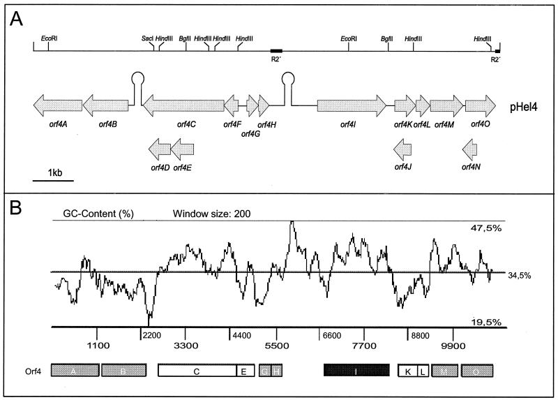 FIG. 2.