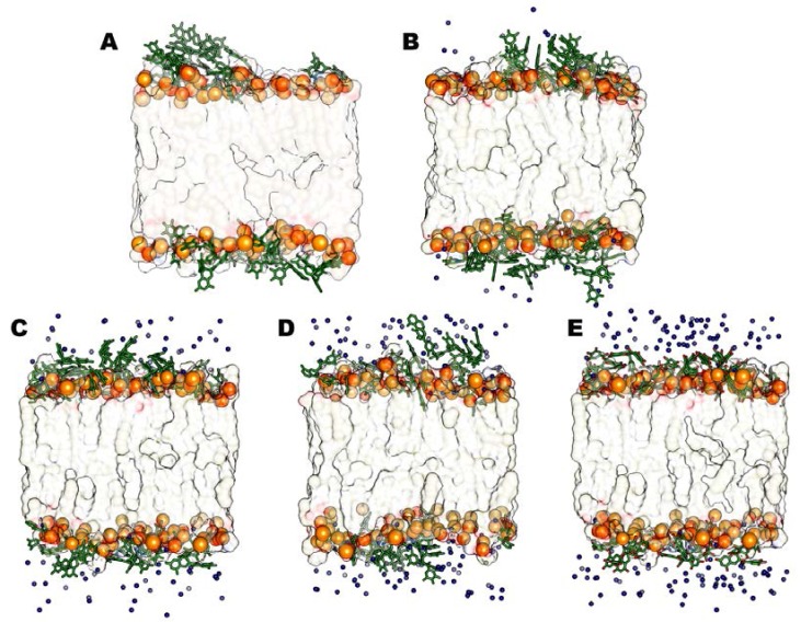 Figure 5