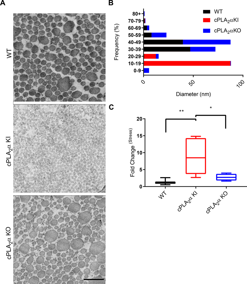 Fig. 4.