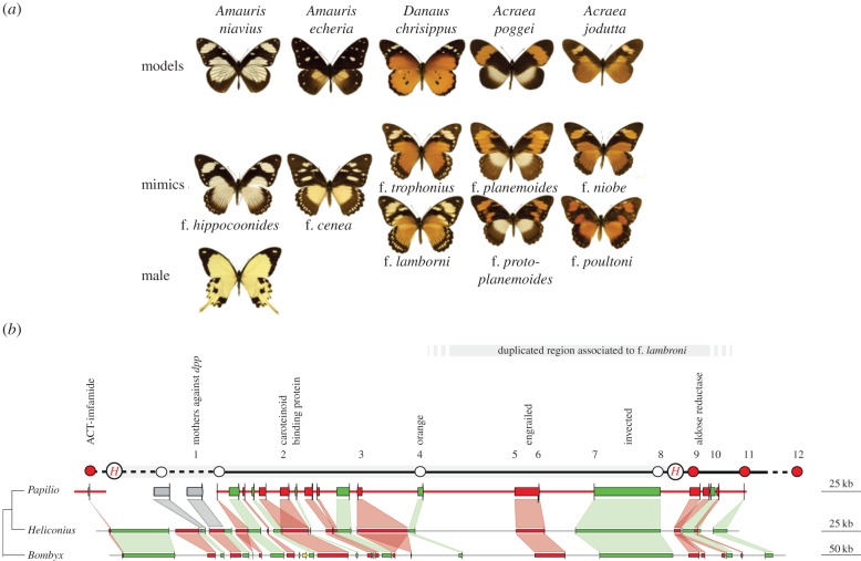 Figure 1.