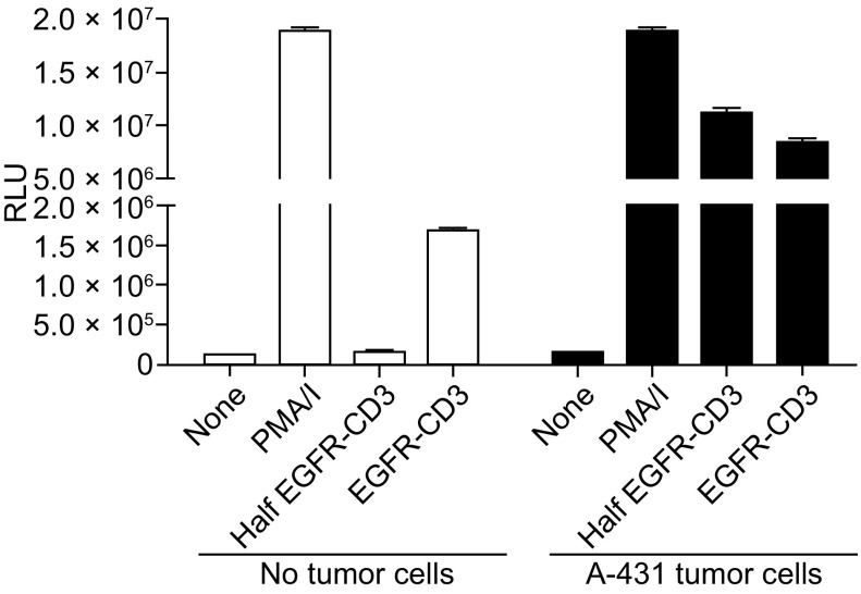 Figure 5