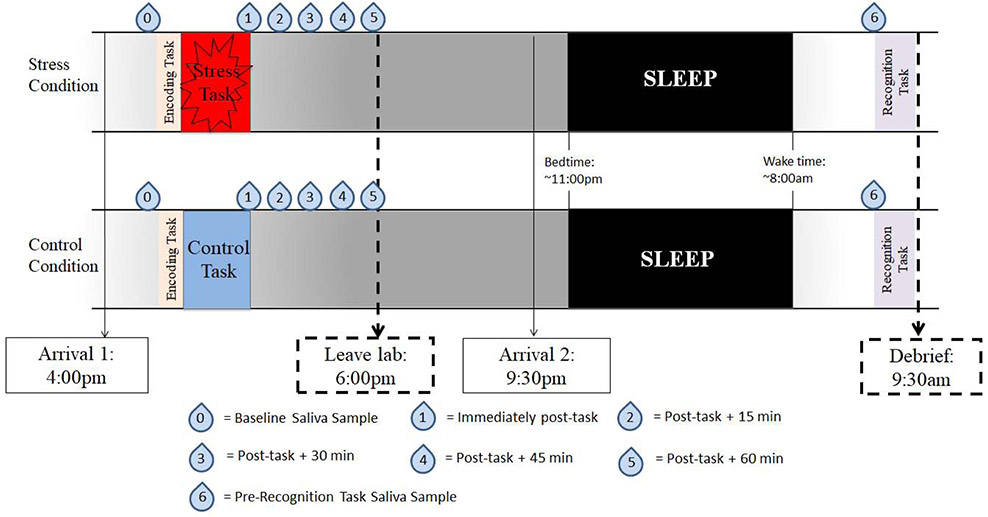 Figure 2: