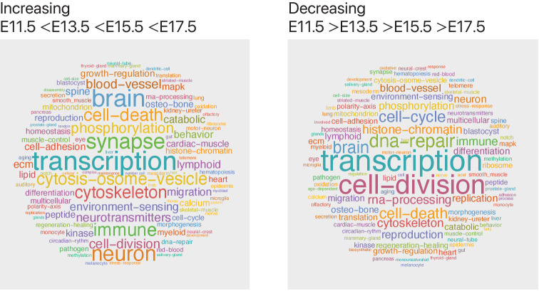 Figure 6—figure supplement 2.