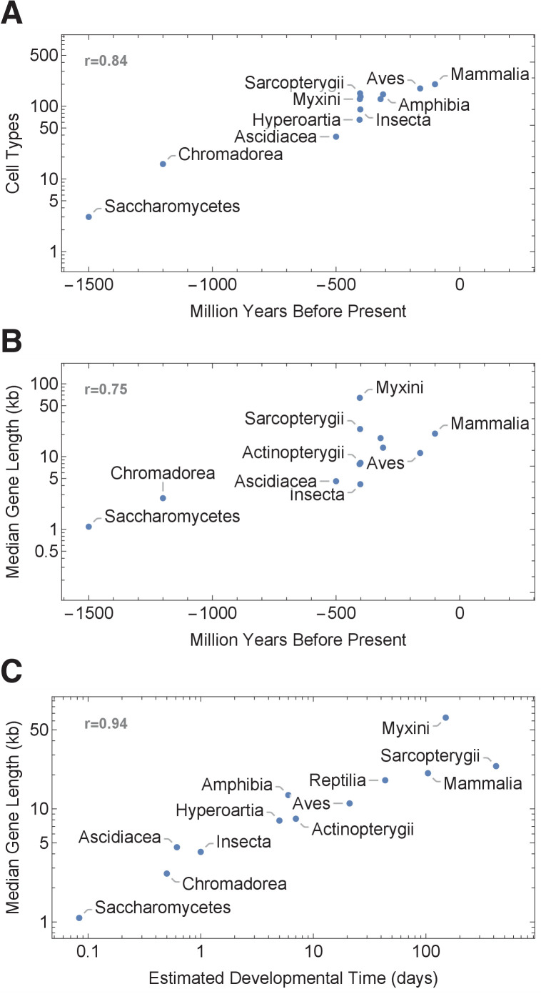 Figure 7—figure supplement 1.