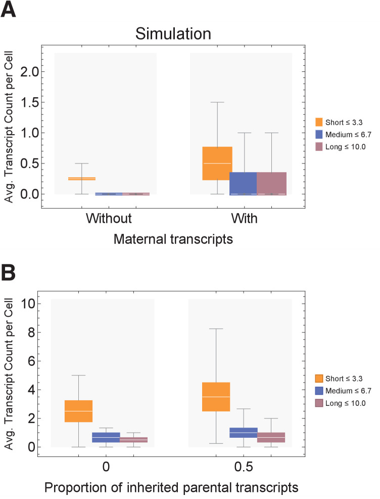 Figure 3—figure supplement 2.